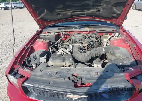 2008 Ford Mustang V6 Deluxe/V6 Premium z USA, uszkodzony, nr VIN 1ZVHT80N985196505